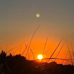 Meet your Posher, Alison